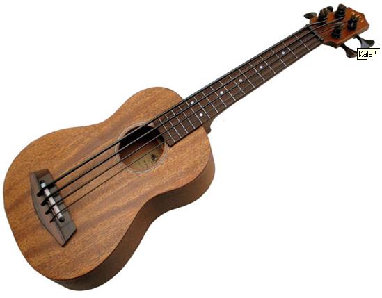 hoc dan ukulele