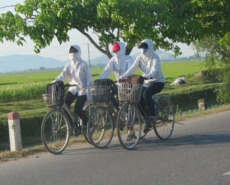 Các trường có thể điều chỉnh giờ học để tránh nắng nóng