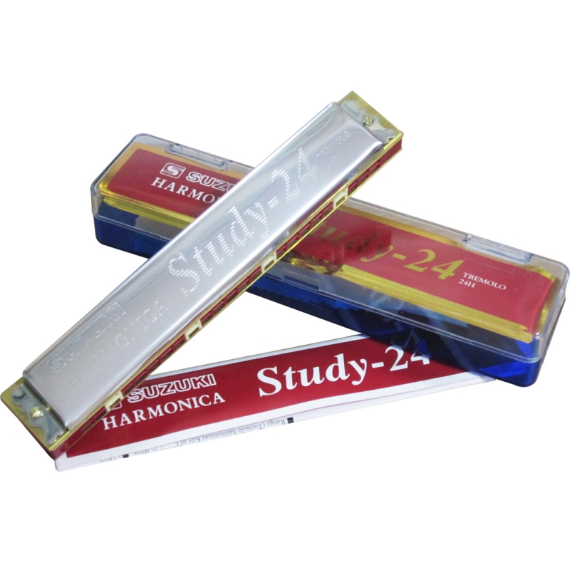 Gia sư dạy kèn Harmonica TPHCM